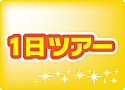 お任せ1日ツアー