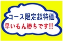 限定募集超特価ツア