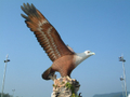 島内観光