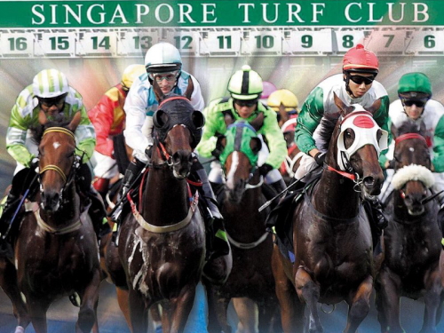 競馬観戦ツアー
