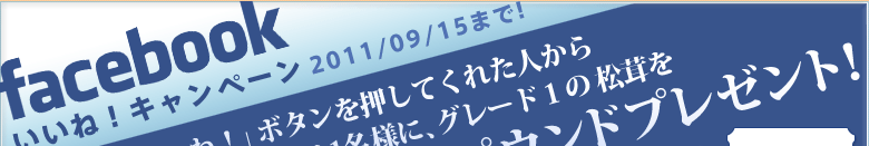 Facebook いいねキャンペーン