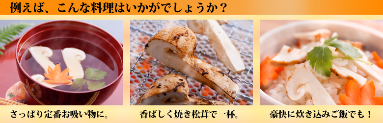 例えば、こんな料理はいかがでしょうか？