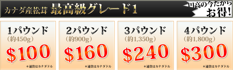 カナダ産松茸  最高級グレード1　円高の今だからお得