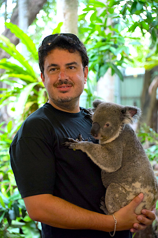 年版 ケアンズのコアラが抱っこできる動物園5選