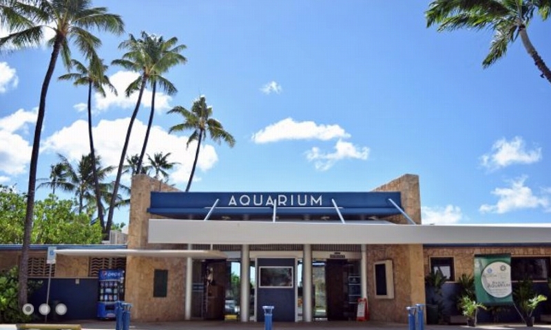 ワイキキ水族館