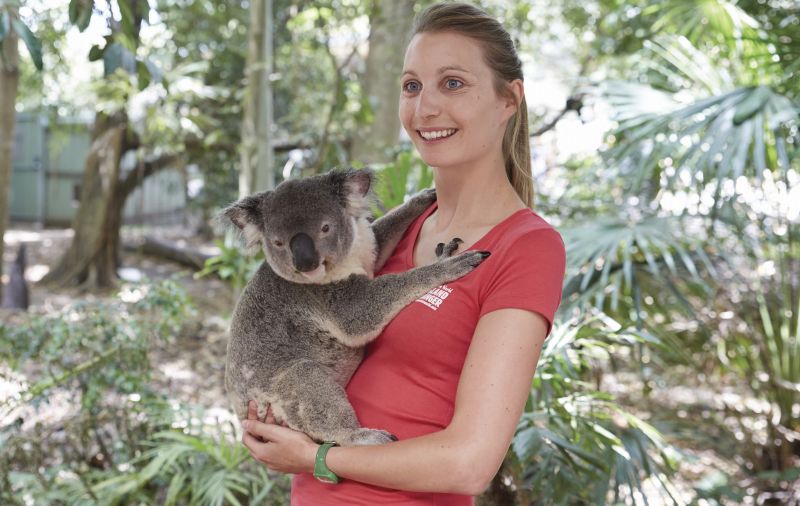 22年 オーストラリアのコアラ抱っこができる動物園17選