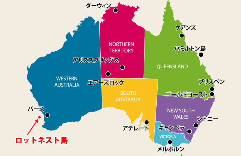 21年版 ロットネスト島観光の完全ガイド 行き方 見所 ツアー紹介
