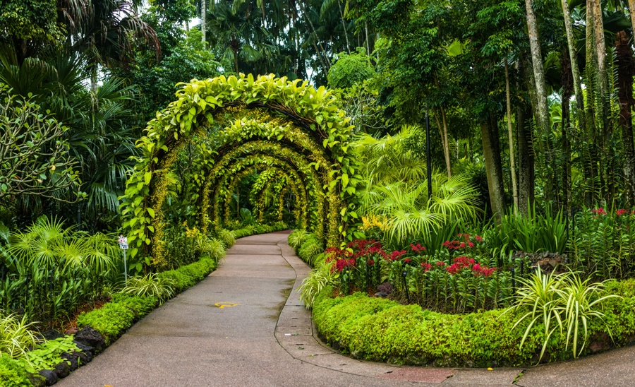 年版 シンガポールの2大植物園に行こう 見所 行き方 営業時間など