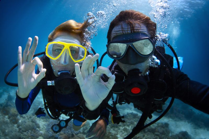 モートン島「タンガルーマ・アイランド・リゾート」観光の完全ガイド - 行き方、見所、ツアー紹介