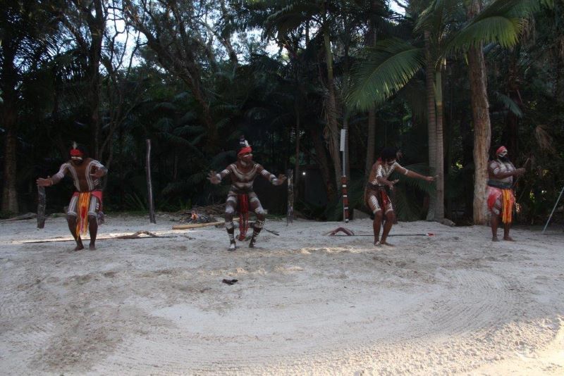 ゴールドコーストの「カランビン動物園」完全ガイド - 行き方、見所、お得なチケット入手方法など