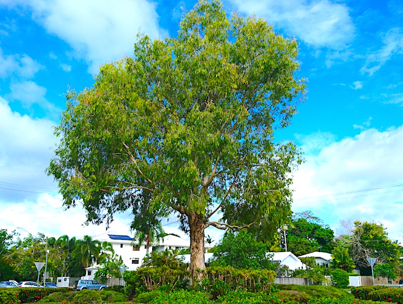 3. MRSA から守る