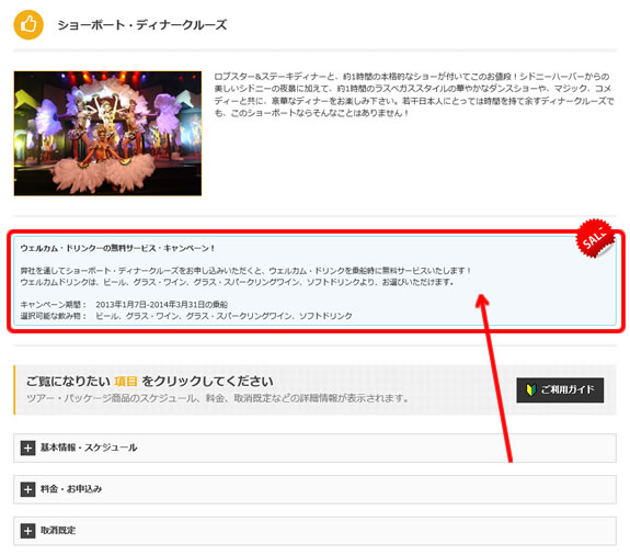 ツアー・アクティビティで、スペシャル・オファー(特典)、キャンペーン等が行われている場合は、ここにその情報が表示されます。